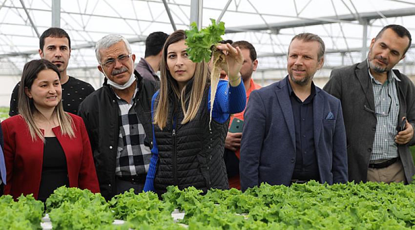 Tarımda güneş enerjisi kullanımı kursu açılıyor