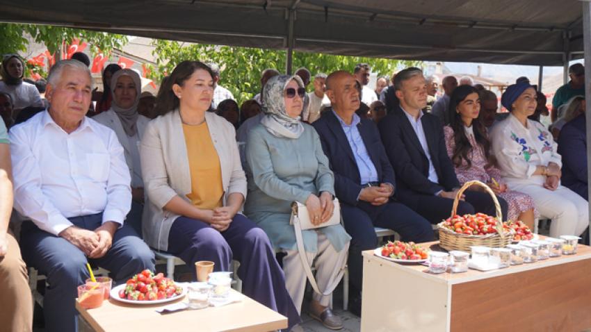Pozantı Çilek Festivali yapıldı
