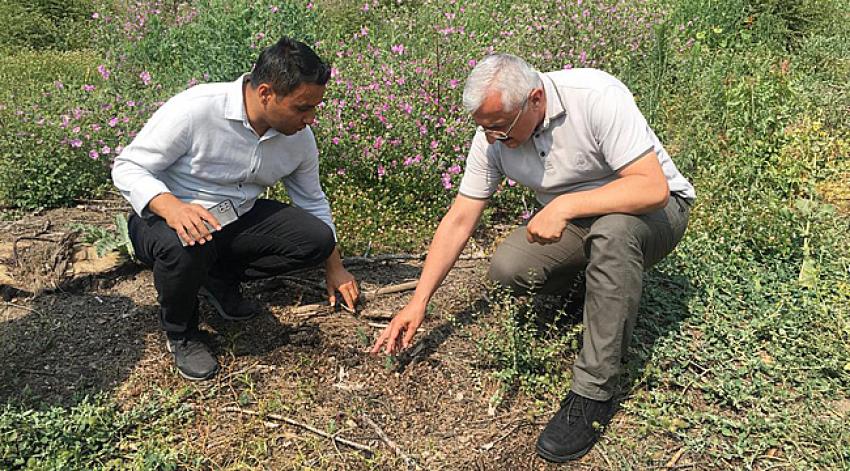 Yangının izleri siliniyor