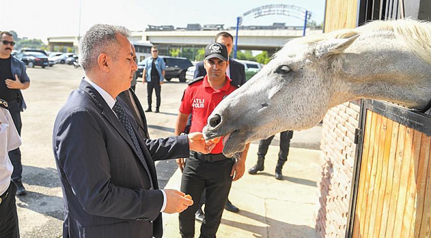 Vali Elban'ın at sevgisi
