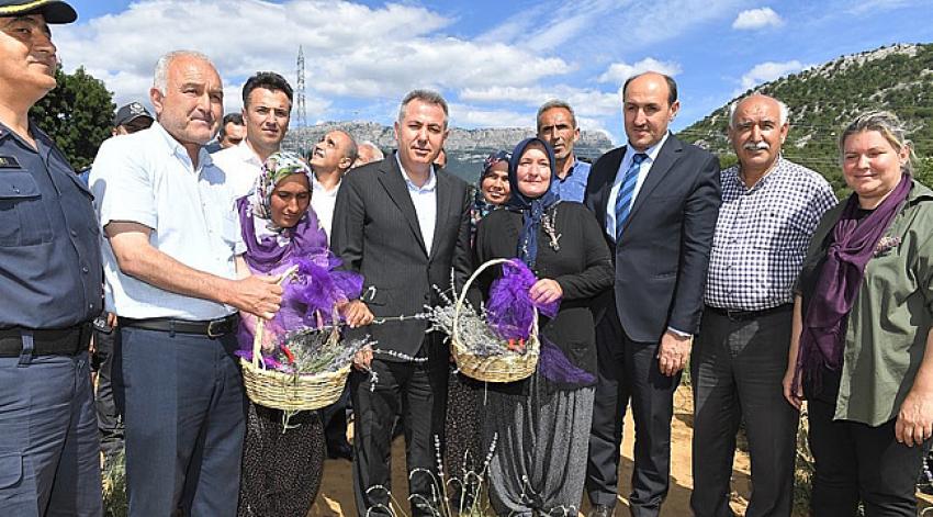 Feke Tapan 1.Turizm ve Lavanta Festivali yapıldı