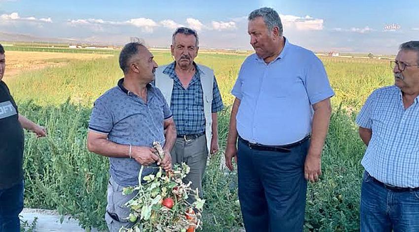 Gürer: Üretici-Çiftçi Borcunu Ödeyemeyince İcra Kapıda
