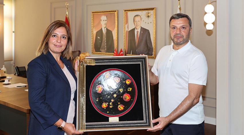 Türkiye'ye rol model oldu