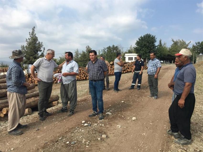 Toprak canlanıyor