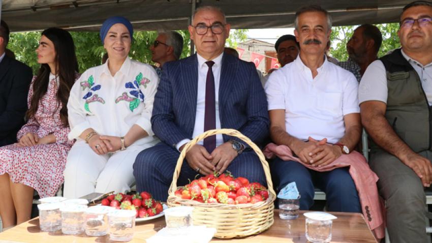 Pozantı Çilek Festivali yapıldı