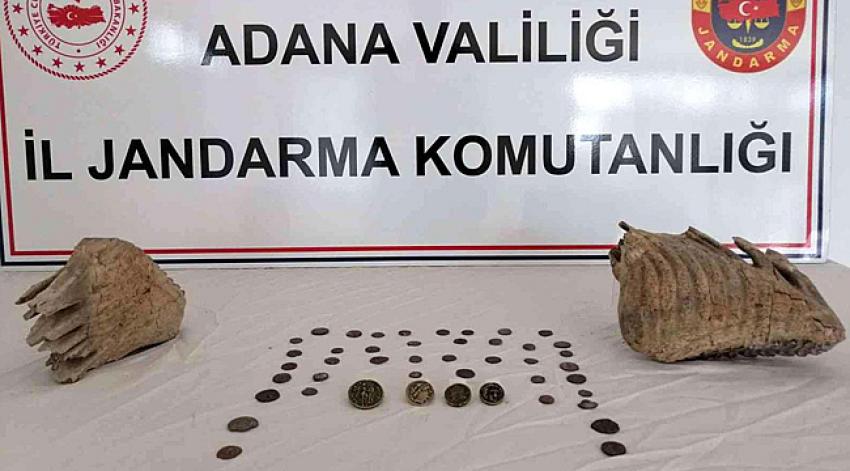 Adana'da Mamut fosili ele geçirildi
