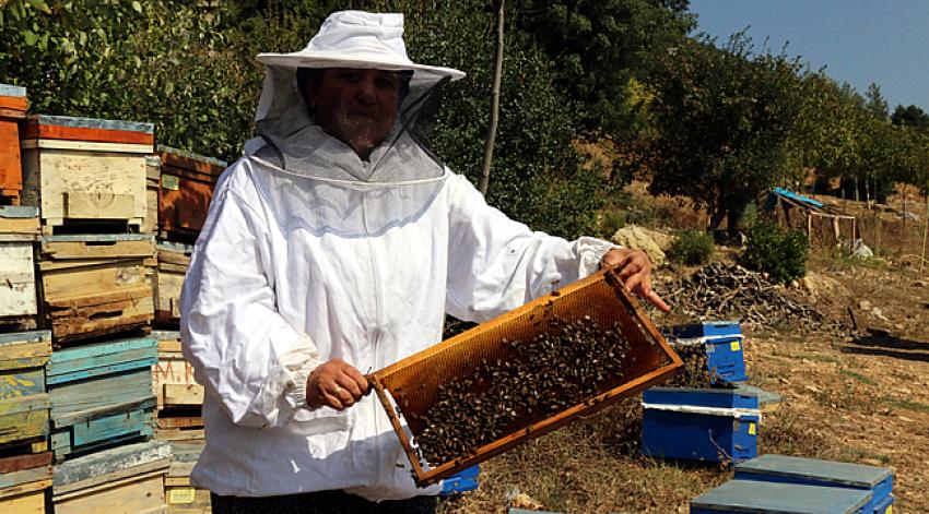 Bakanlık desteğiyle arıcı oldu