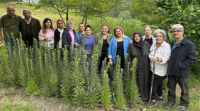 Zambaklar gelişiyor kadınlar güçleniyor