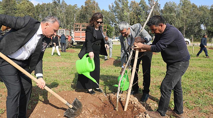 42 can için 42 fidan dikildi