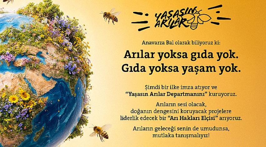 “Yaşasın Arılar Departmanı”