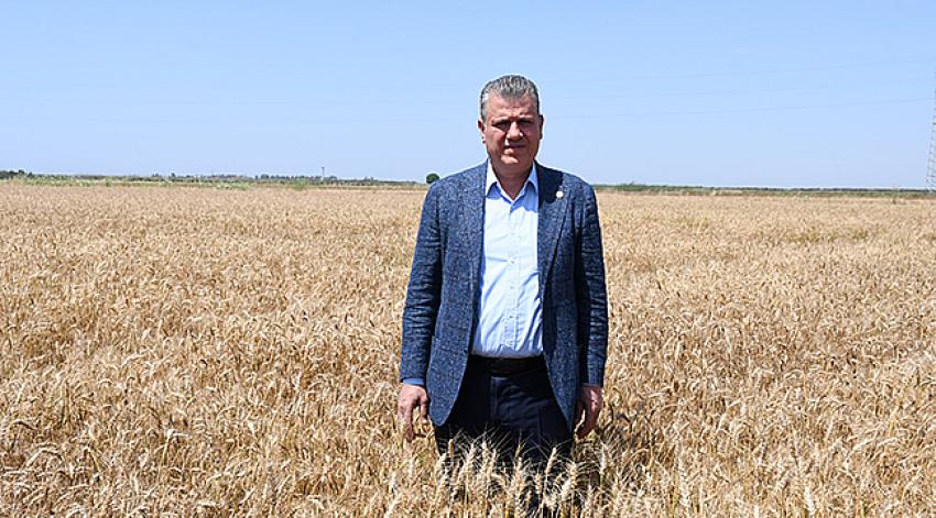 "Hasat geldi, fiyat hala yok"