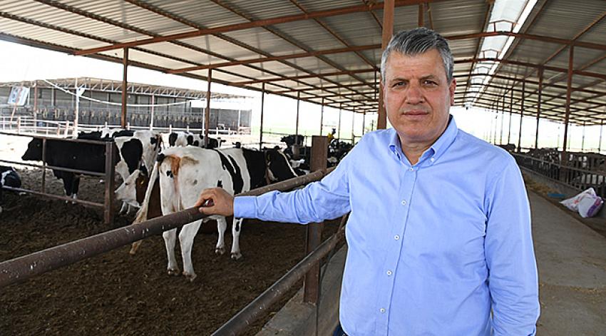 "Şap salgını yine hortladı"
