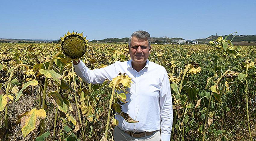 “Hasat vakti ithalat çiftçiye darbedir”