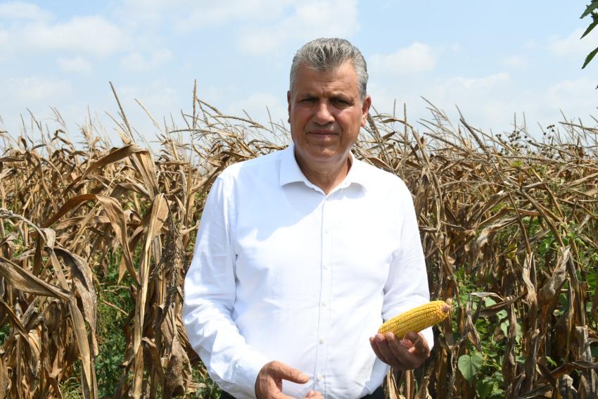 Mısır üreticisi isyanda