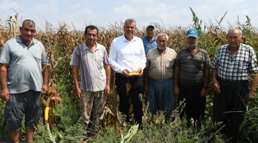 Mısır üreticisi isyanda