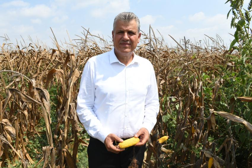 Mısır üreticisi isyanda