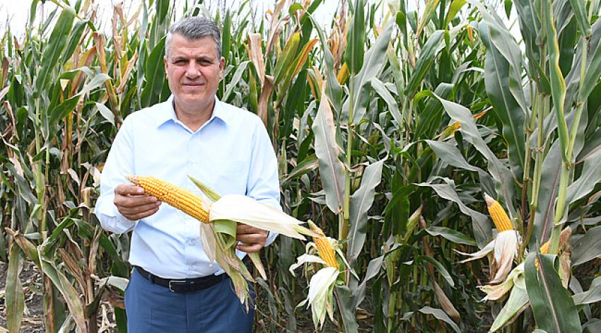 110 bin tonluk mısır ithalatına tepki