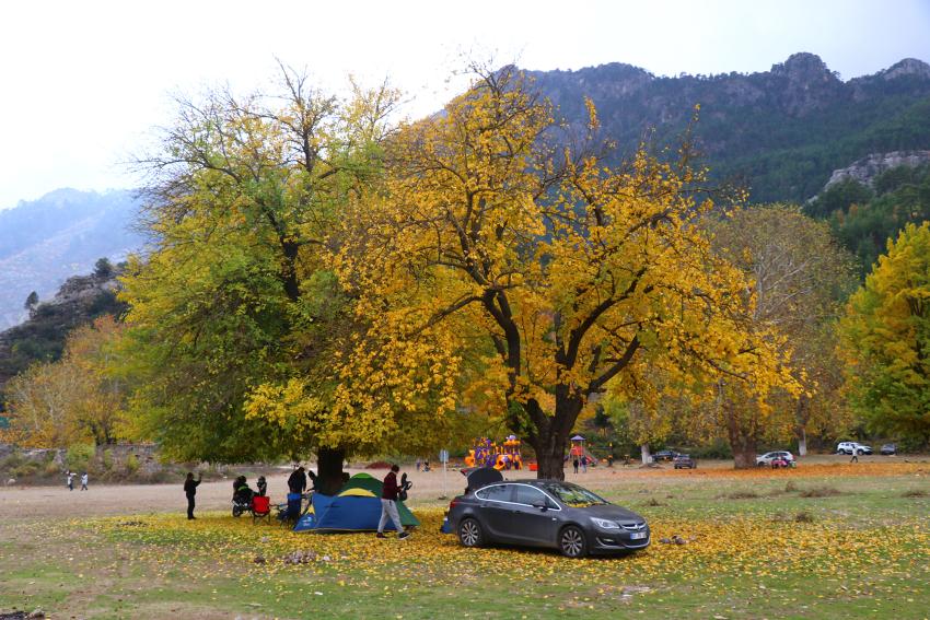 Belemedik Tabiat Parkı'nda sonbahar şenliği yaşanıyor