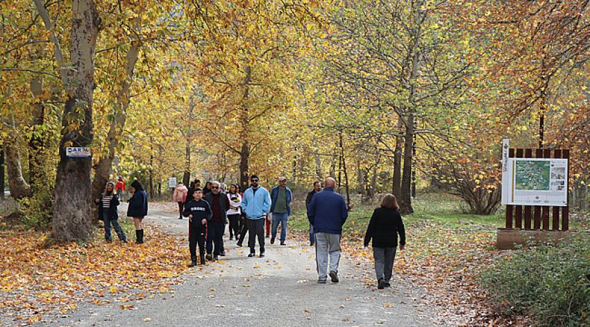 Belemedik Tabiat Parkı'nda sonbahar şenliği yaşanıyor