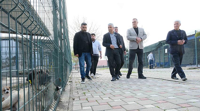 “Yeme ya da saldırı değil, davranış gereği”