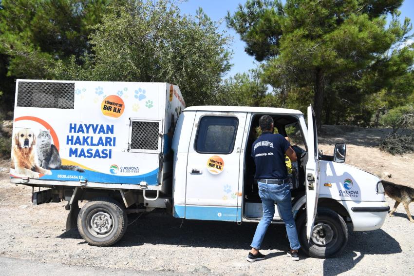 Çukurova’da patiler mutlu