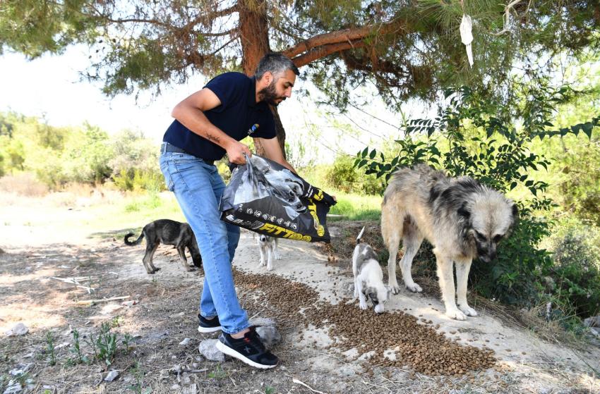 Çukurova’da patiler mutlu