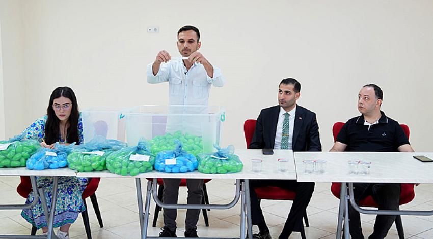 Çukurova kreşlerine rekor başvuru