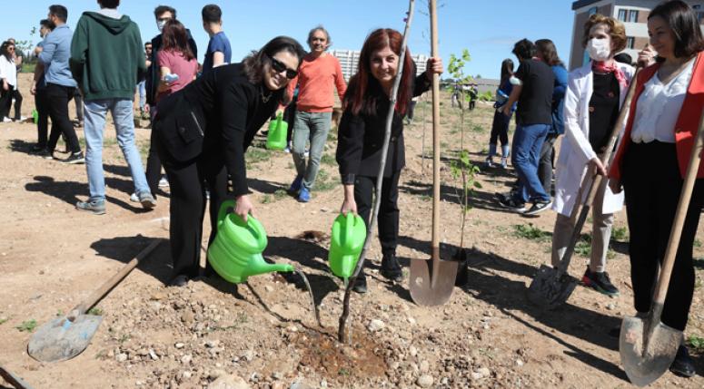 50. yıl anısına 300 fidan 