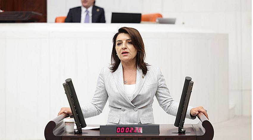 ‘EYLÜL VELİNİN DERT AYI OLDU’