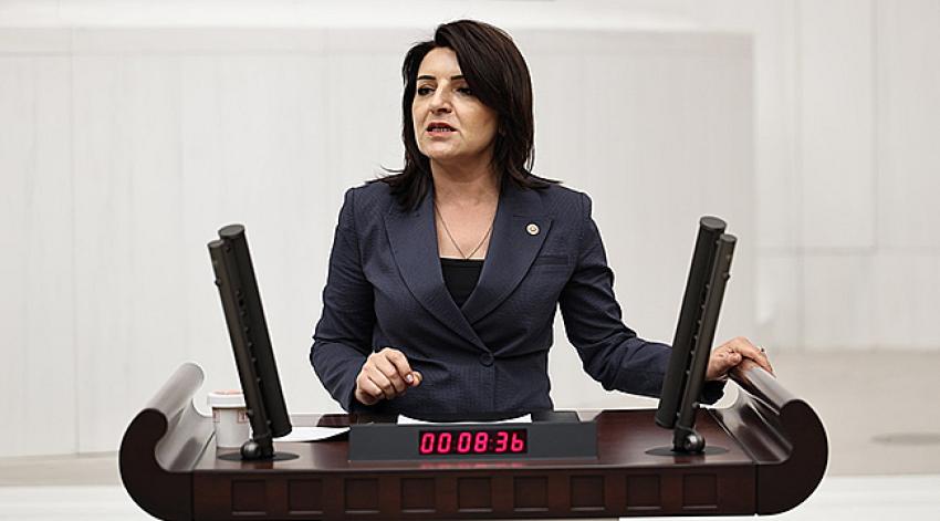 ‘AKP, Mersinli üzüm üreticisine "Bağını sök, toprağını terk et" diyor’