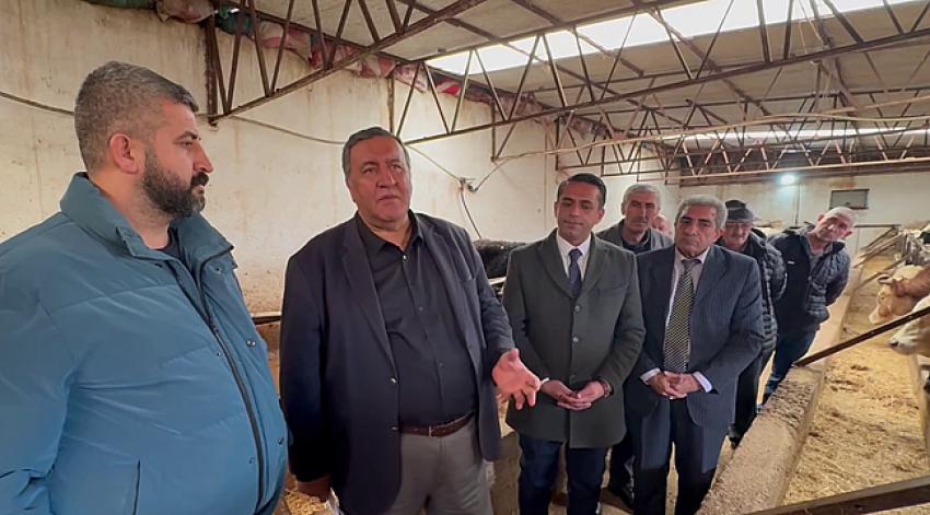 Gürer: Et ve sütte zor sürece giriliyor