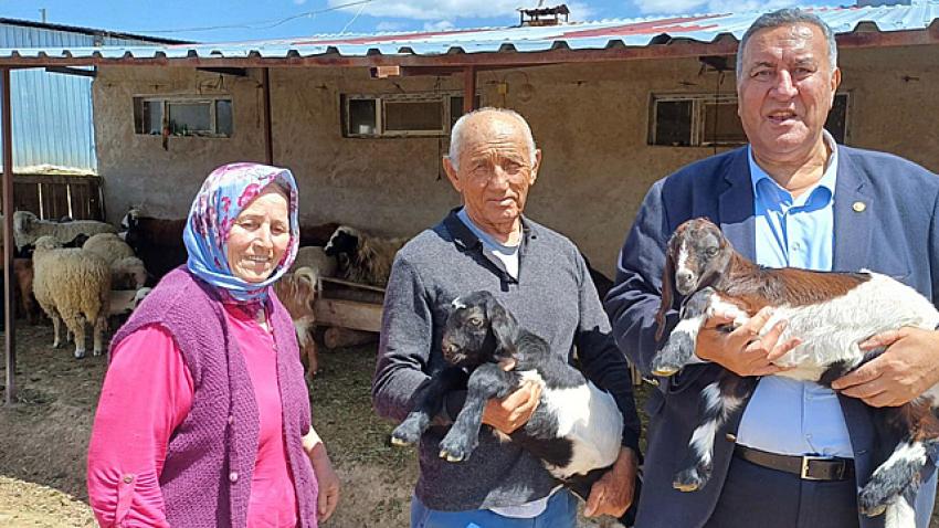  “Küçük aile tipi işletmelerde hayvancılık S.O.S veriyor”