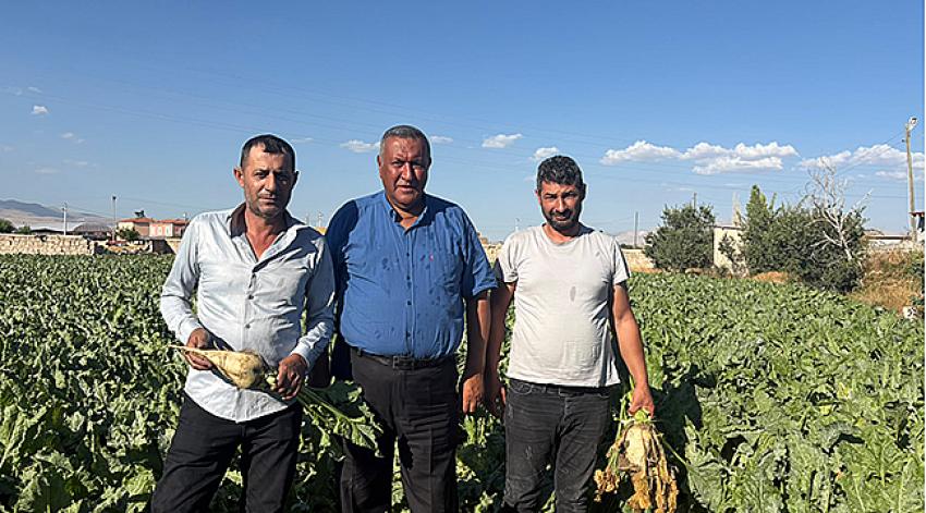 ‘Pancar üreticisinin beklentisi en az 4 bin lira”