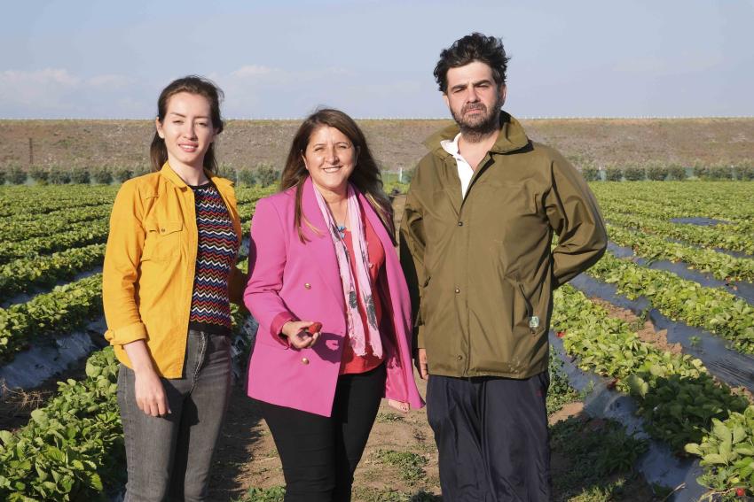 Meryem Kadın Kooperatifi harıl harıl çalışıyor