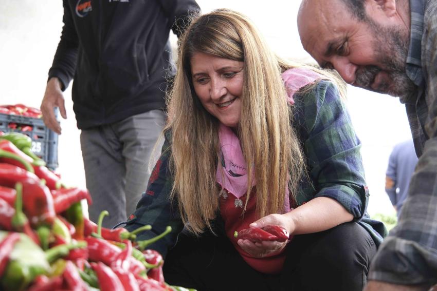 Meryem Kadın Kooperatifi harıl harıl çalışıyor