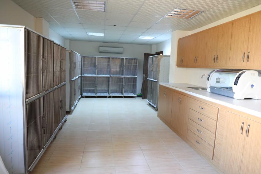 Kısırlaştırma ve Bakım Merkezi açıldı