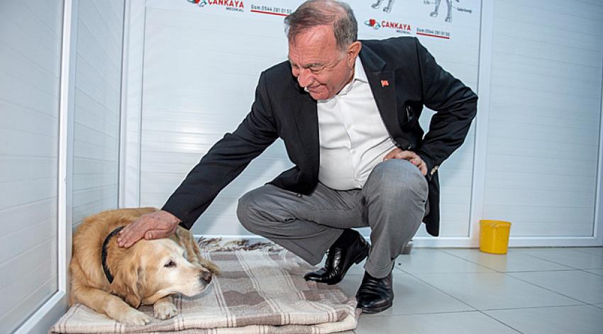 Sokak hayvanları kitap karşılığında kısırlaştırılıyor