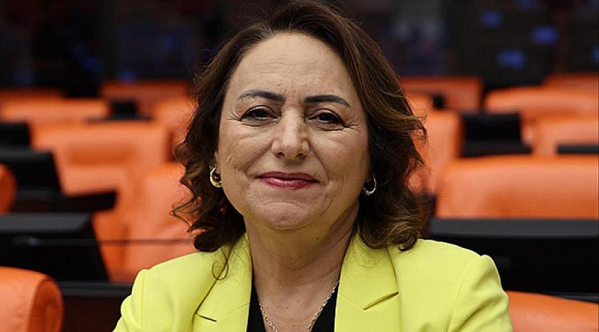 TMMOB ve bağlı odaların sorunları meclis gündemine taşındı