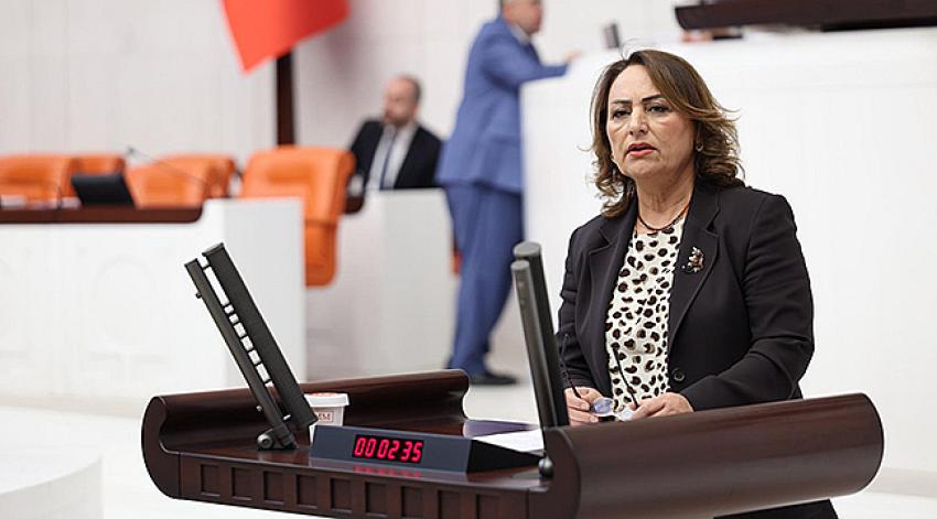 ”386 bin ruhsatla doğa ve tarım yağma altında”