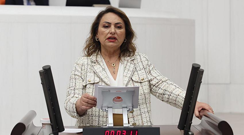 “Cinayetlerin çözüm adresi meclistir”