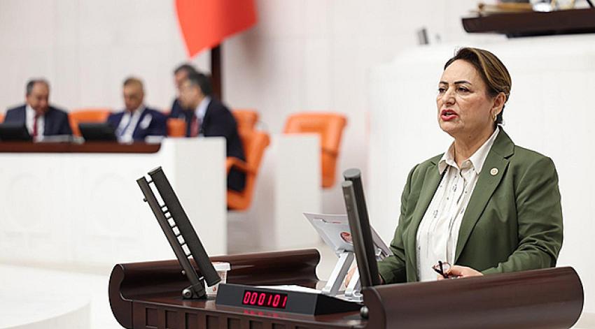 “Akademik liyakat, bilimsel özerklik ve eşitlik korunmalıdır”