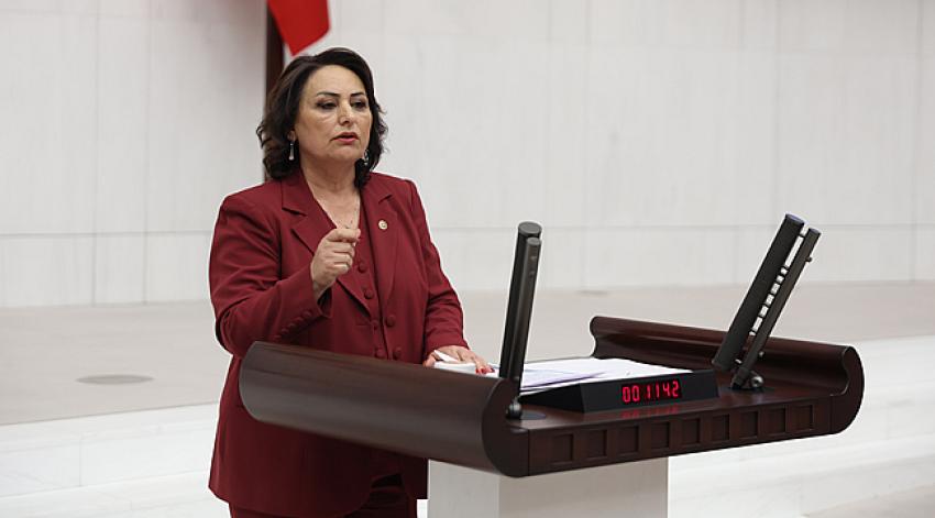 “Madenlerimiz peşkeş çekilecek”