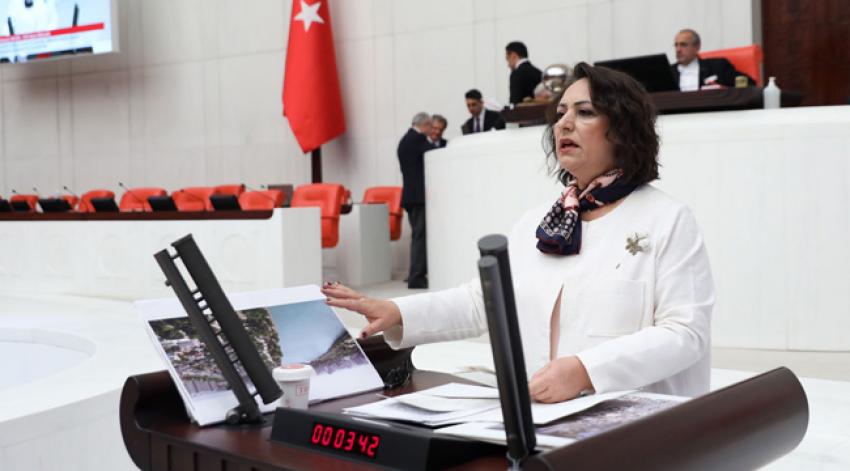 Mecliste Adana konuşuldu