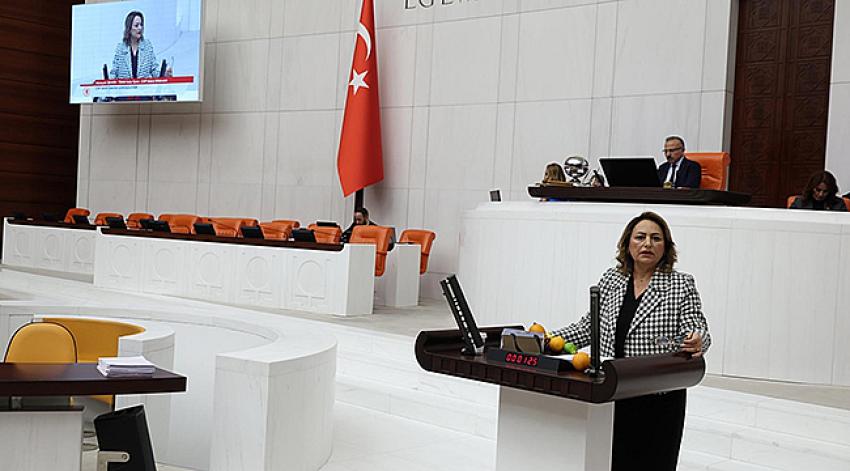 “Dalında 5 lira, pazarda 40 lira! Bu nasıl düzen?”