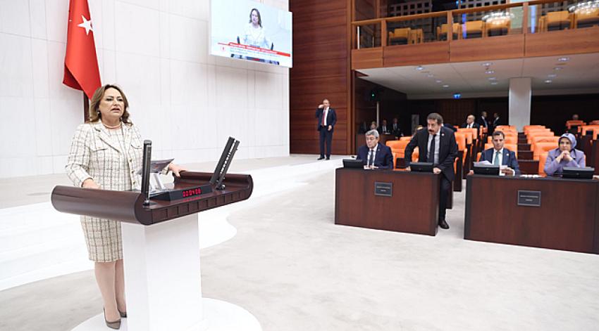 “Sömürge madenciliğine, yağmaya ve talana son verin!”