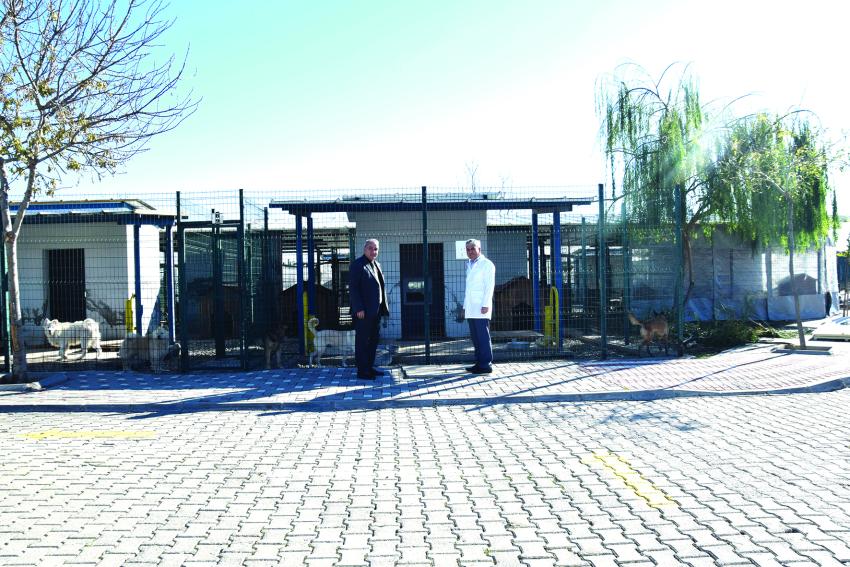 ‘Herkesi hayvan sahiplenmeye davet ediyorum’