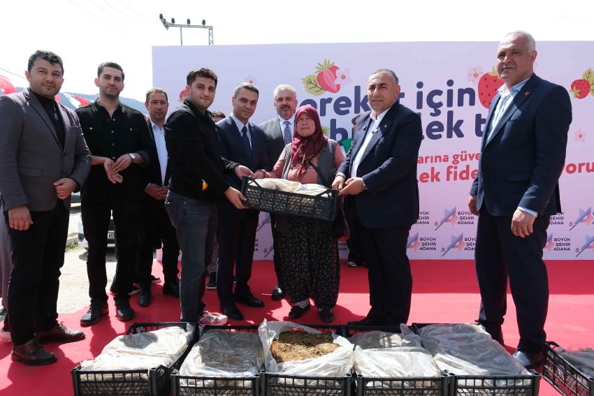 Pozantılı üreticiye 900 bin çilek fidesi daha dağıtıldı
