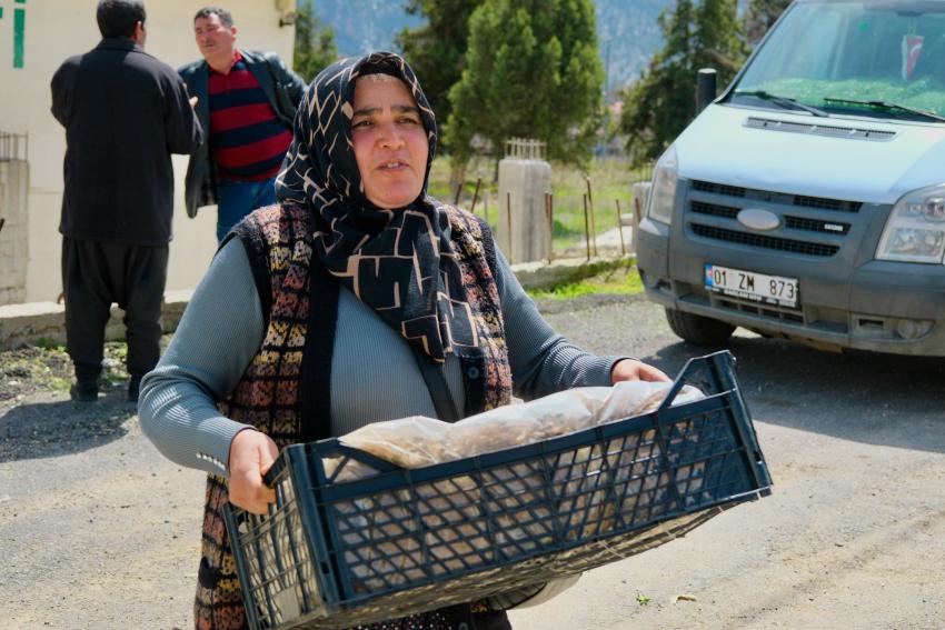Pozantılı üreticiye 900 bin çilek fidesi daha dağıtıldı