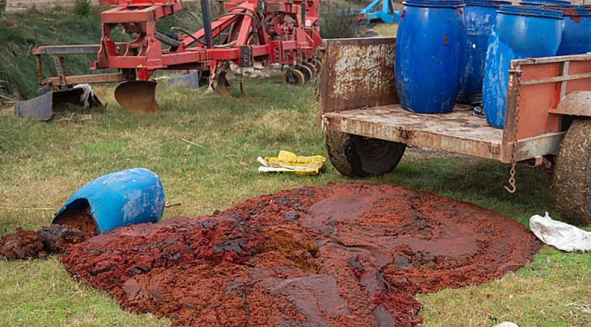 Sağlığı Tehdit Eden Salçalar İmha Edildi