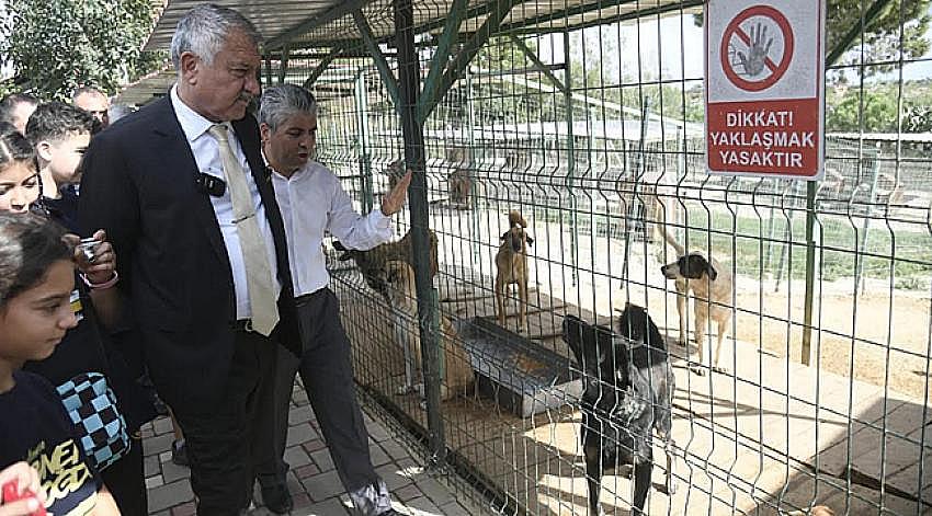 'Sokak canlılarının sorunlarını azaltıyoruz'